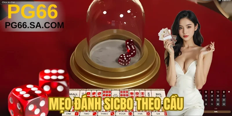 Mẹo đánh sicbo theo cầu